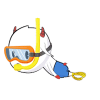 小雅以及其他设计