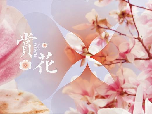赏花
