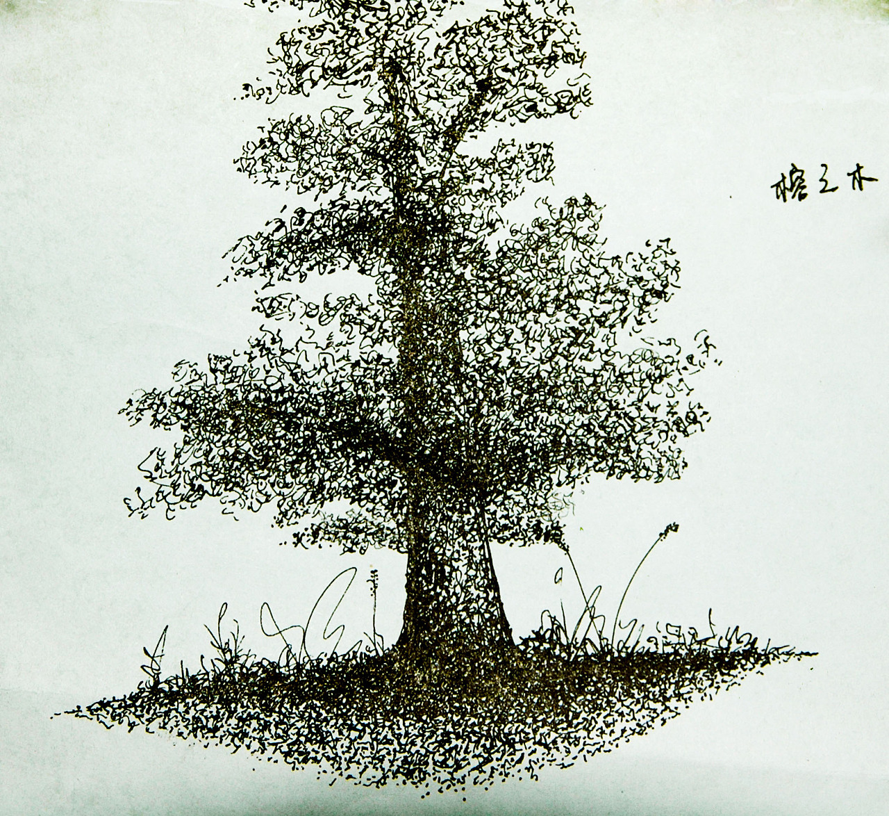 蓉之木,(中性笔小作)