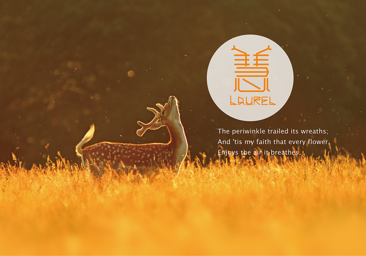 Laurel 的字体设计练习 2013 03（图ZODU4NjYxMg==） - 字体/字形 - 站酷设计师慧Laurel原创素材 - 站酷ZCOOL