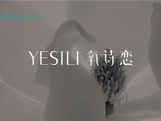 氧诗恋品牌视觉设计