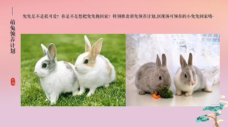 2023中秋特色游园会系列活动策划方案