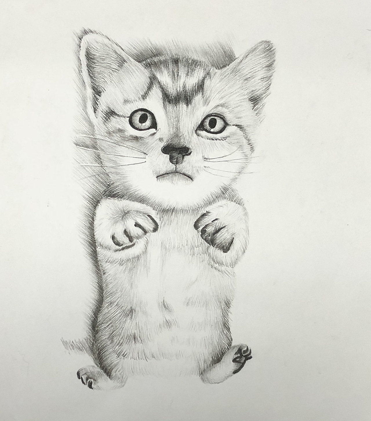 banner/字体设计/插画/手绘