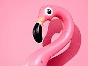 插画（个人主页-ZMzAwNTY5MTI=） - 闪屏/壁纸 - 站酷设计师我有轻重原创素材 - 站酷ZCOOL