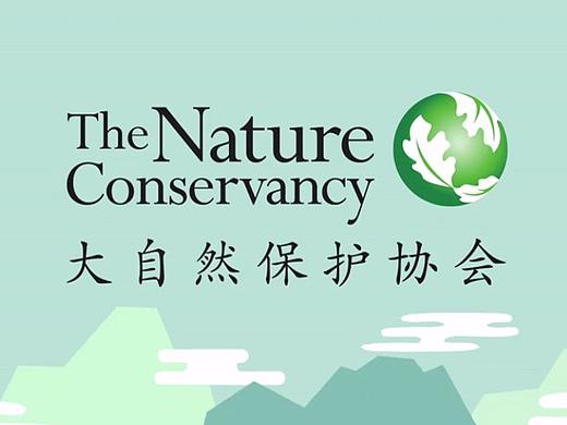 项目管理：公益短片《洪水灾害》