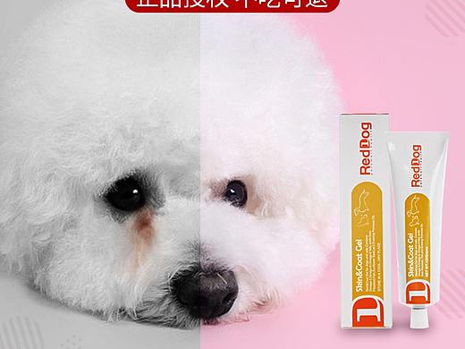 宠物保健品主图