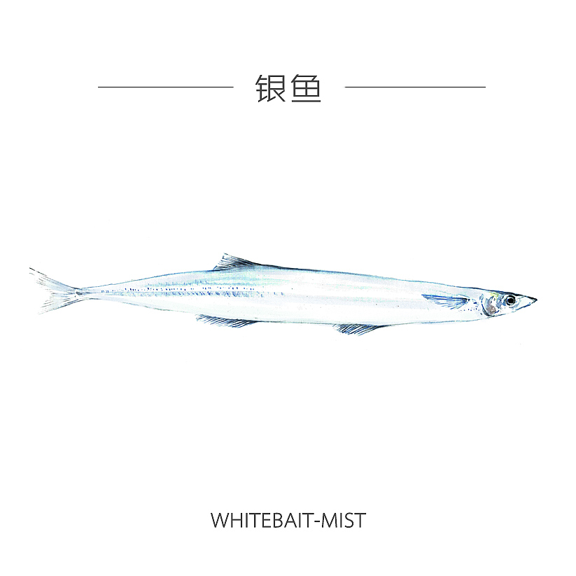 人类食谱-海鲜（图ZMzY4MDkzMzY=） - 商业插画 - 站酷设计师反派放映原创素材 - 站酷ZCOOL