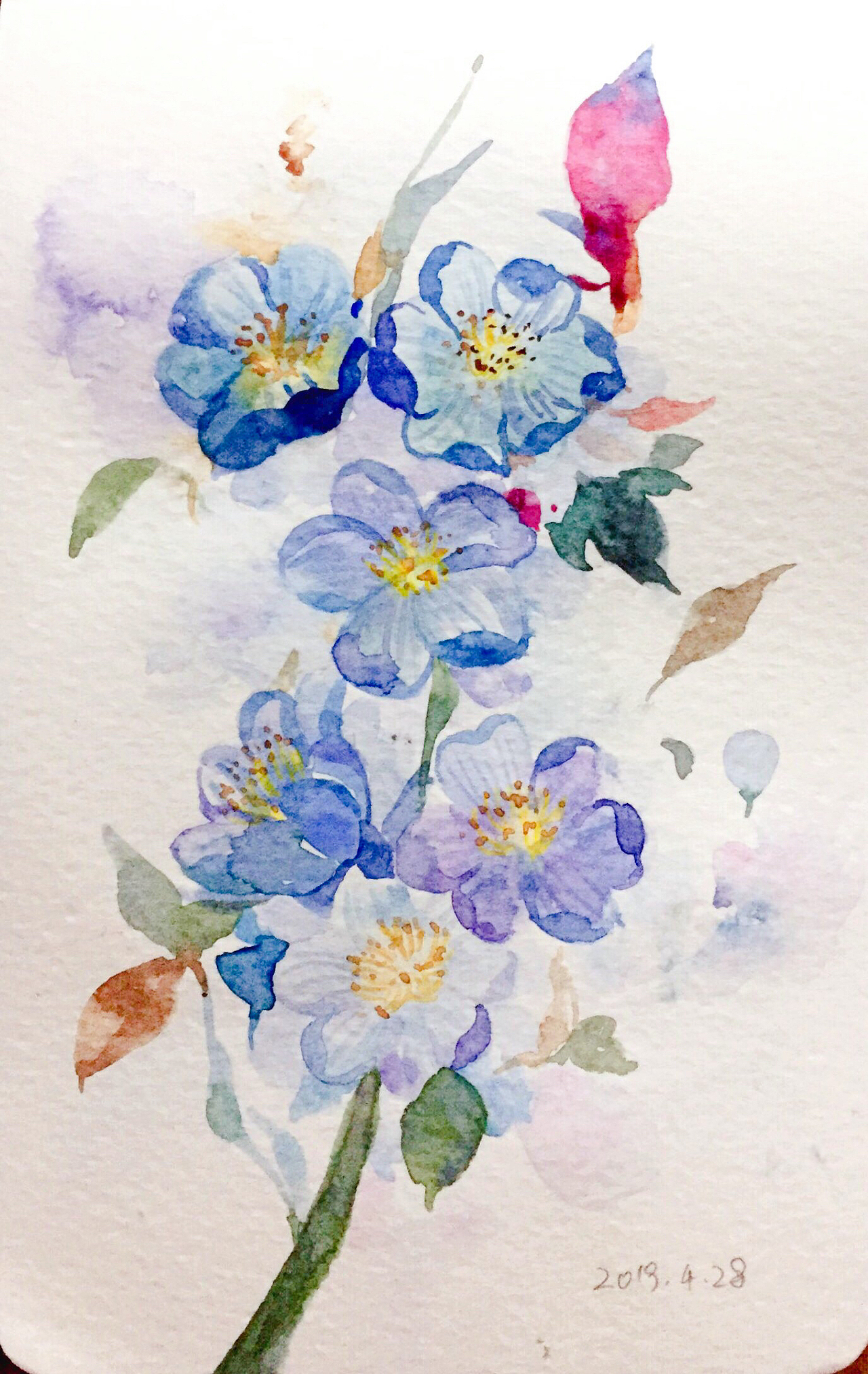 最近的一部分水彩练习作品