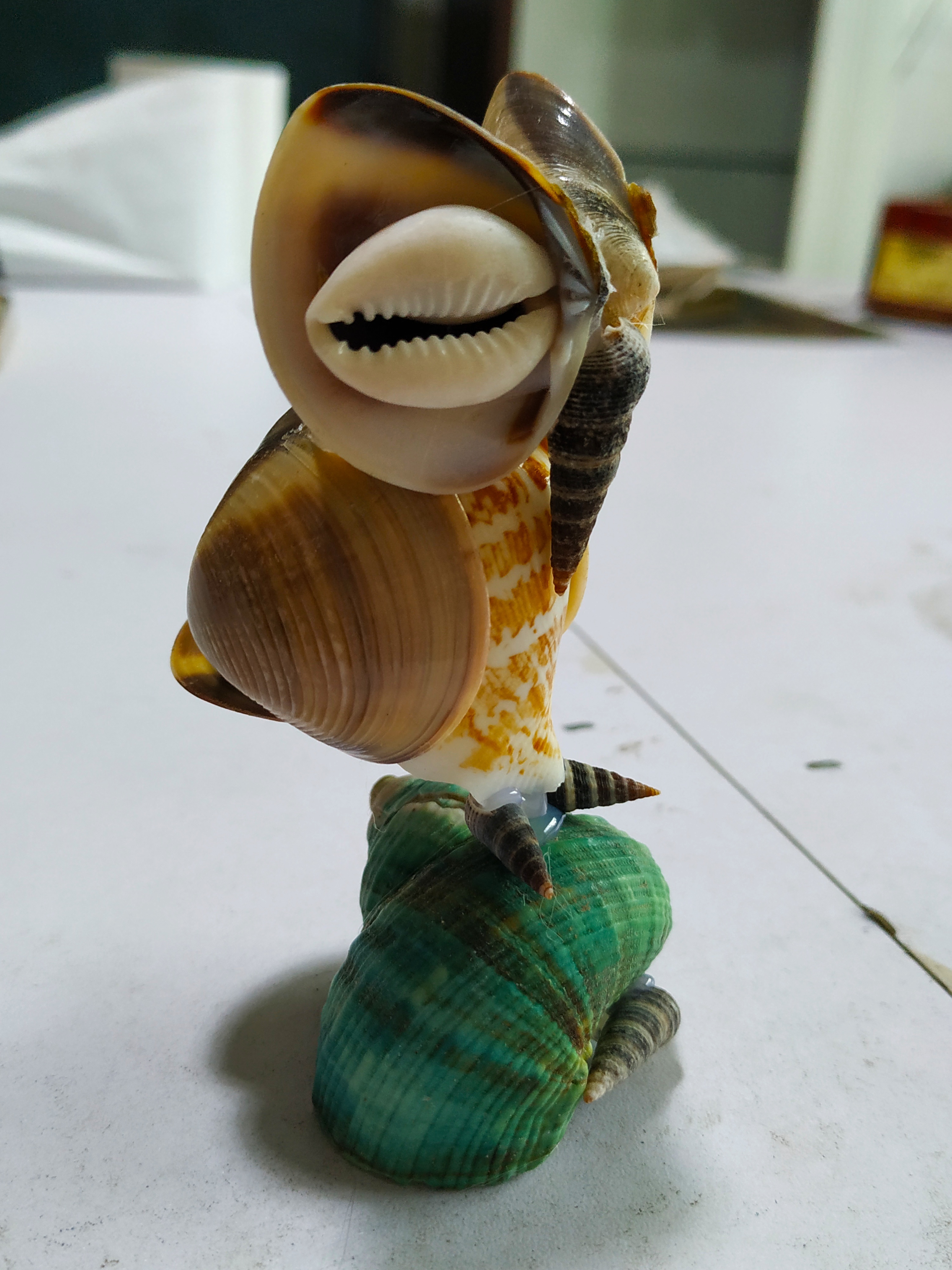 贝壳做的睡着的猫头鹰|手工艺|手办/模玩|喜欢手工的人 - 原创作品