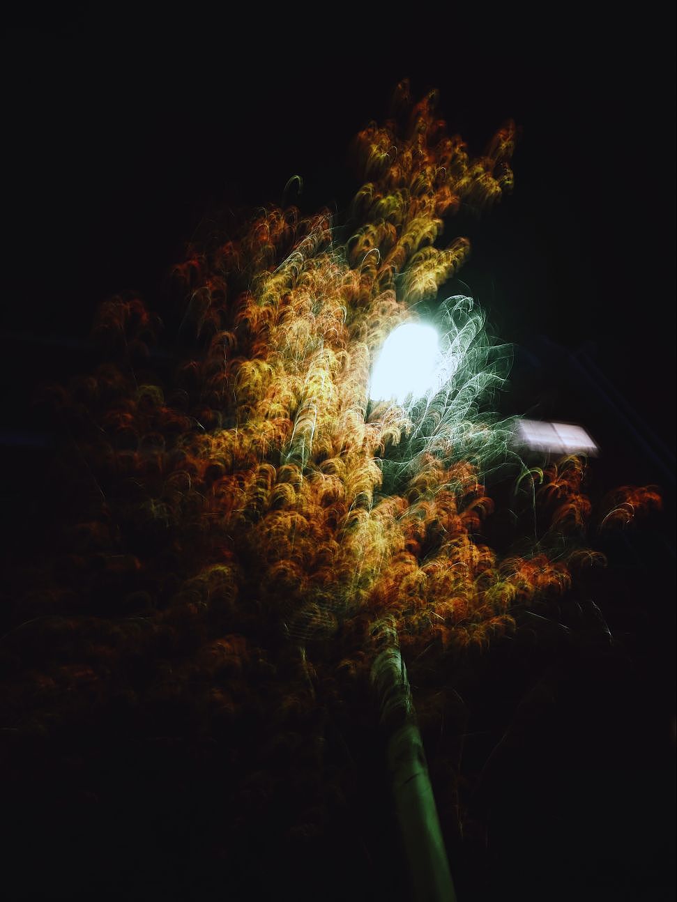 夜色搖曳（圖ZMzM2NDM5NzYw） - 其他攝影 - 站酷設(shè)計師大鵬映象原創(chuàng)素材 - 站酷ZCOOL