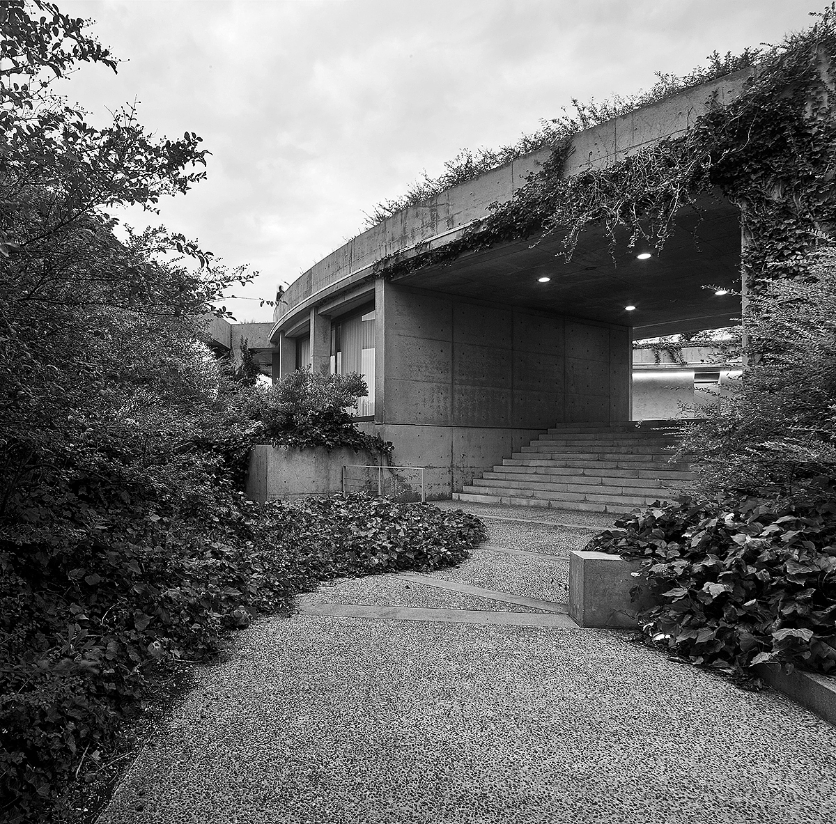 赏未之旅-直岛行