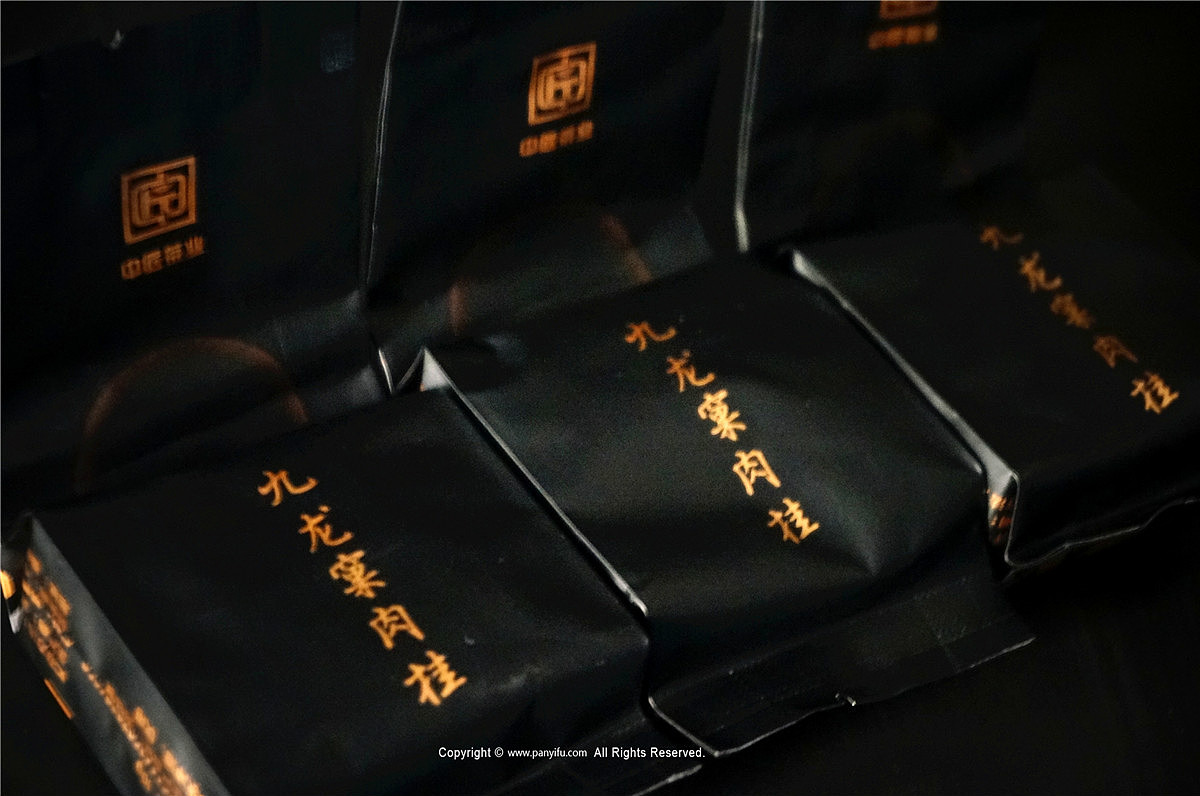 中匠茶业-大器（图ZMjAzODc4NzI0） - 包装 - 站酷设计师潘艺夫设计团队原创素材 - 站酷ZCOOL