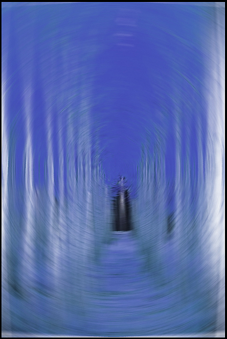 森林的N种玩法~（图ZMTU3NDE1NDA0） - 新锐潮流插画 - 站酷设计师静默如水原创素材 - 站酷ZCOOL