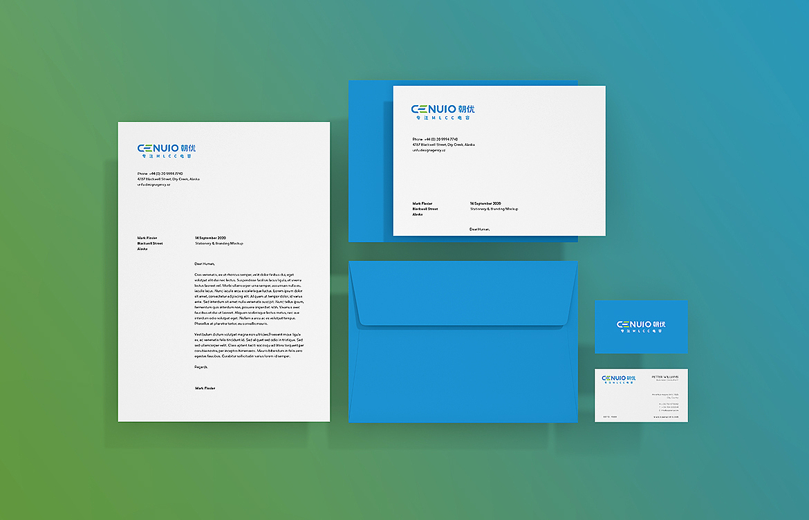 朝优 / 多一步服务的电容供应商