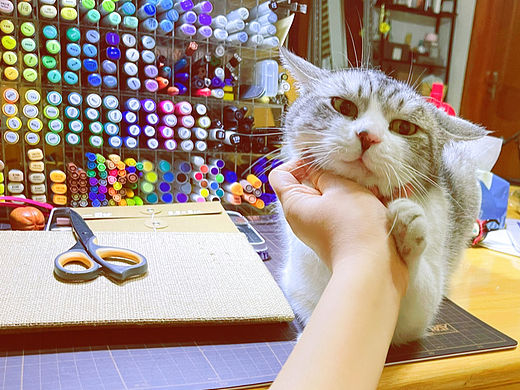 『一甜•CAKE』——“10000个甜品”系列