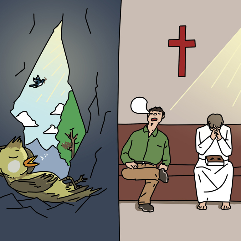 一只鸟的悲惨故事