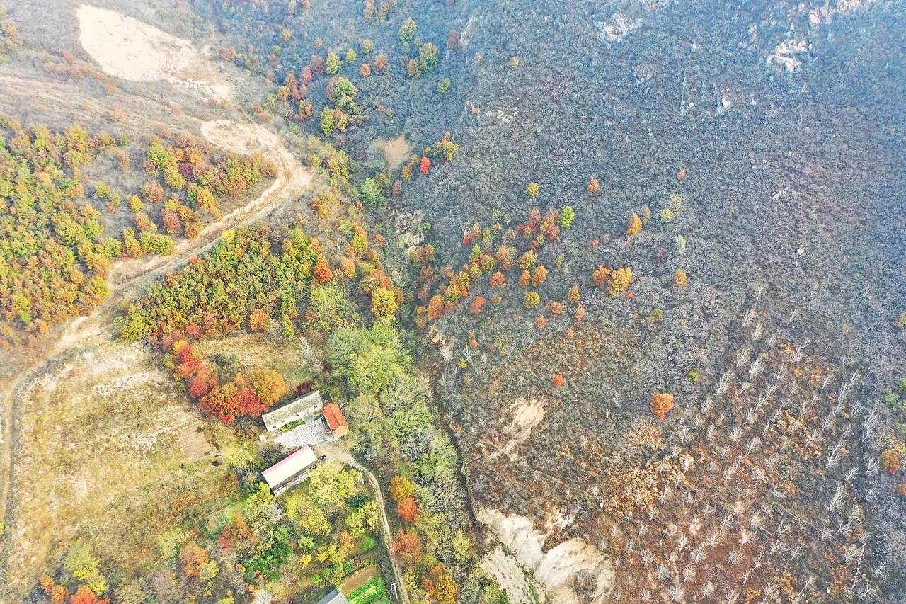 红叶美如画（图ZMzU3NzA1ODky） - 风光摄影 - 站酷设计师我的瞬间艺术原创素材 - 站酷ZCOOL