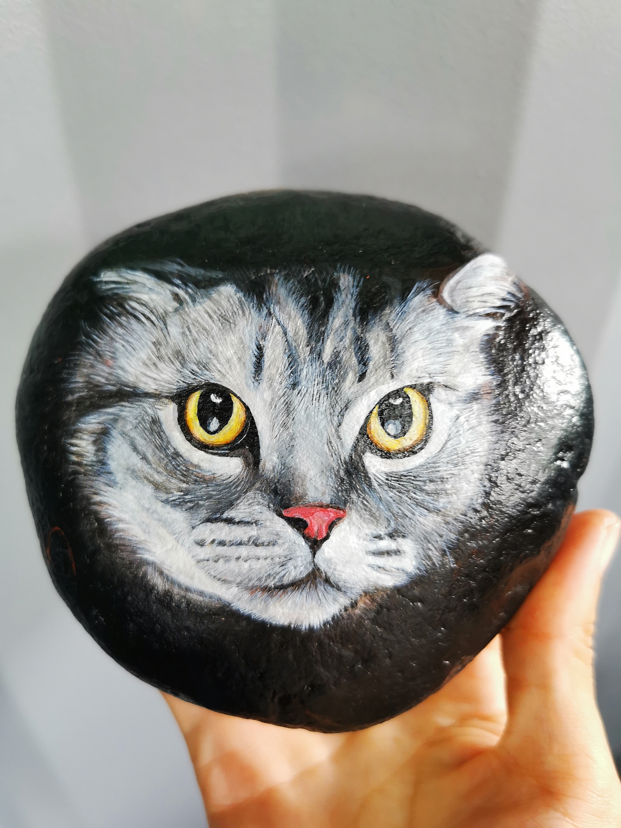 貓咪（圖ZMjI0NTgwNzEy） - 繪畫 - 站酷設(shè)計(jì)師花生升華原創(chuàng)素材 - 站酷ZCOOL