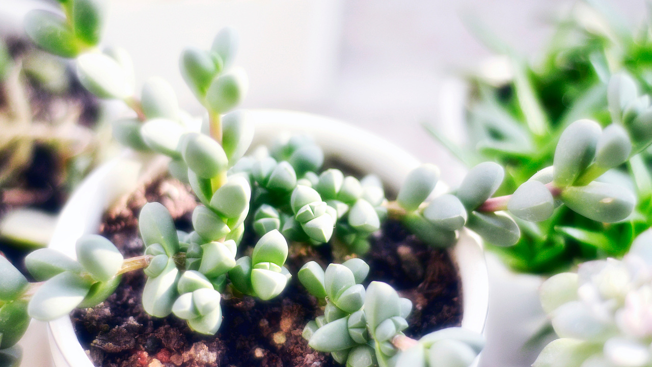 阳光（图ZMTA3NDg4MTk2） - 风光摄影 - 站酷设计师印记漫书原创素材 - 站酷ZCOOL