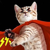 xinyesunke的头像