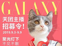 用动物形象设计的一组网红招募海报