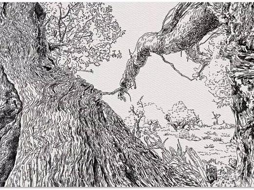 新疆哈密胡杨林线稿