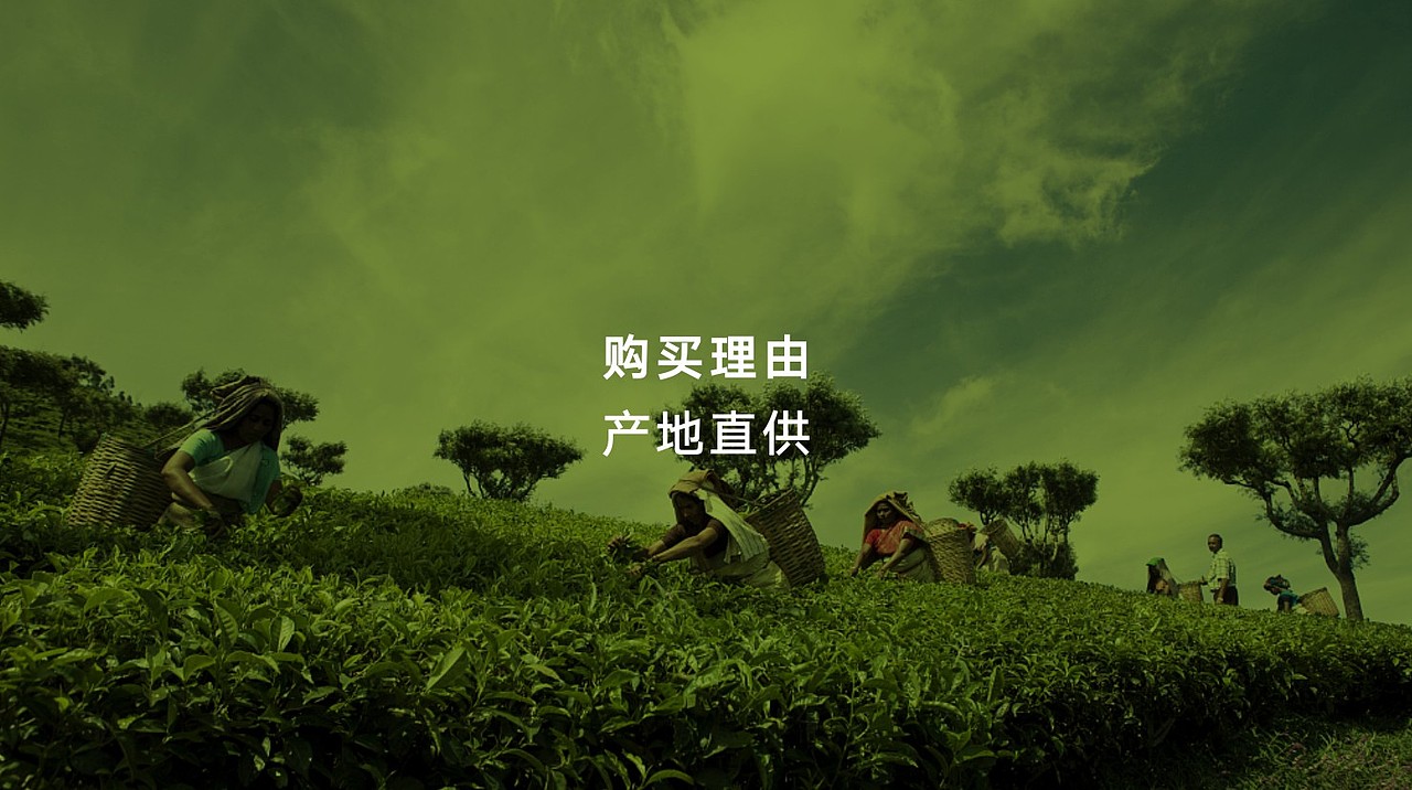 农业品牌全案设计-到这儿来（图ZMTEwODc3MTky） - 包装 - 站酷设计师四喜亮点包装策划原创素材 - 站酷ZCOOL