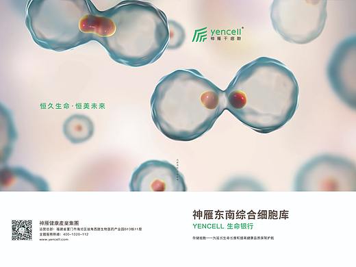 新出炉一本画册