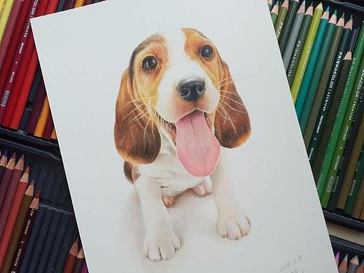 彩铅画《狗》