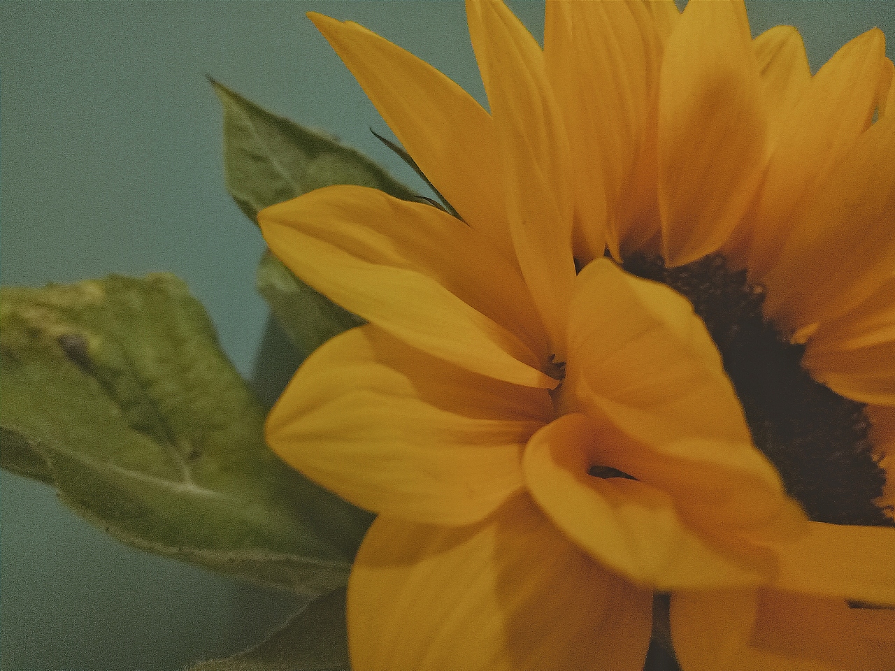 瞎拍瞎排的小美好