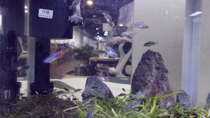 好久没更新了，忙忙碌碌一年又过去了（图ZMTg5NzExMTI4） - 商业插画 - 站酷设计师DKappy原创素材 - 站酷ZCOOL