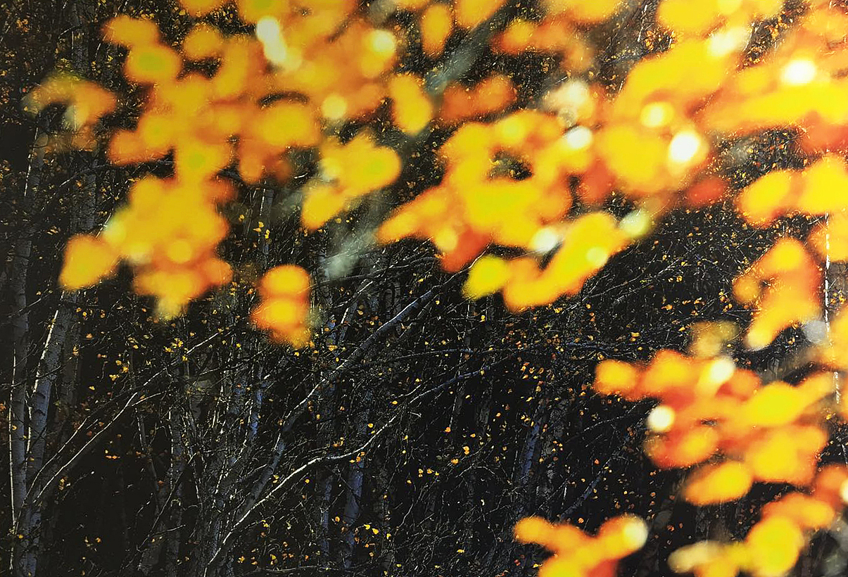 天津青年摄影展作品