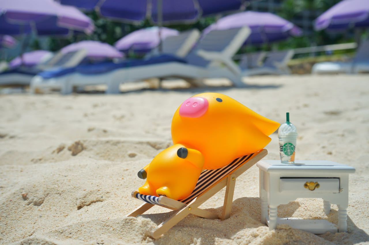 去海边度假的猪小屁手机壁纸 - 网页图库