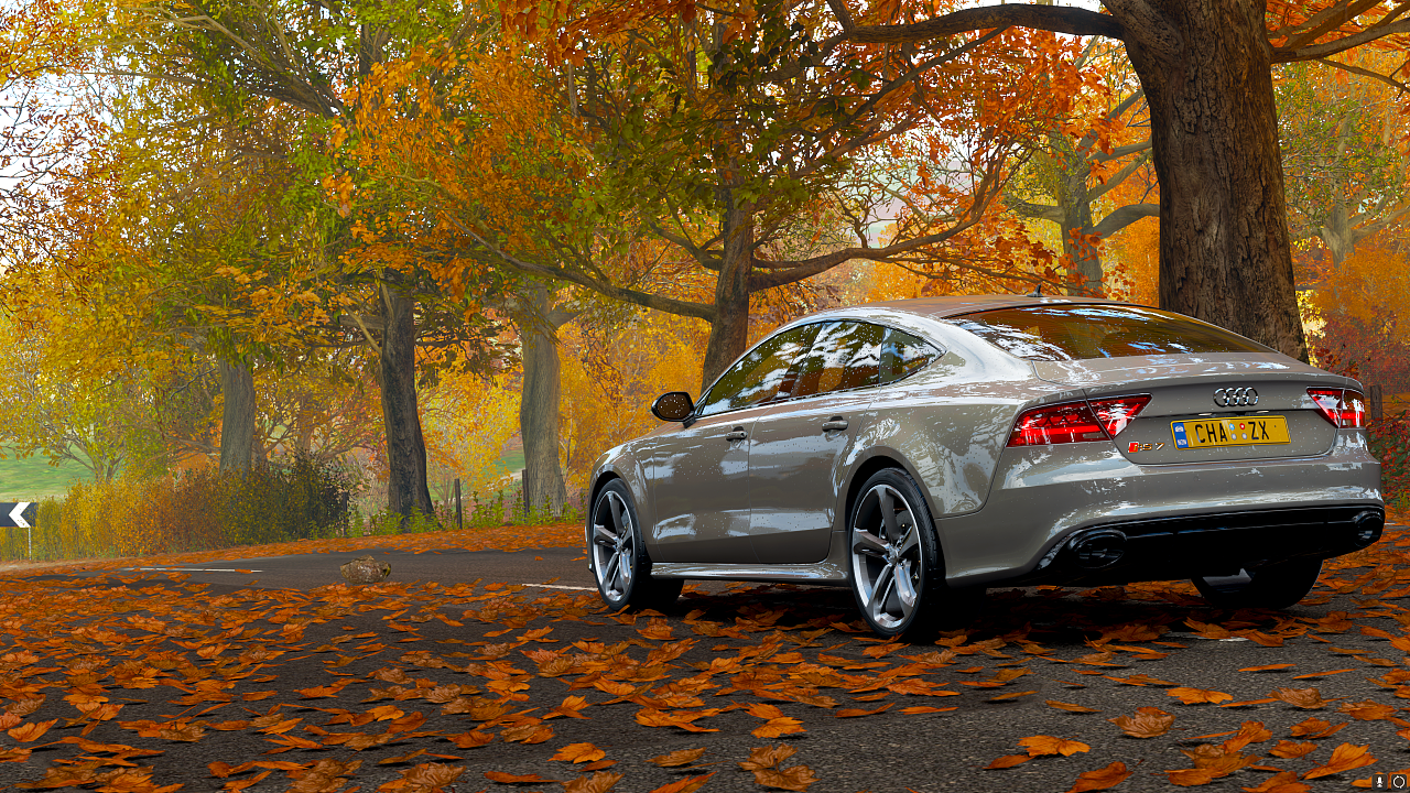 奥迪rs7 夸戳牌面