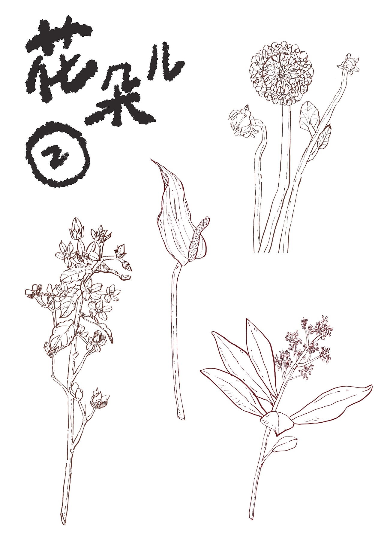 线稿花朵