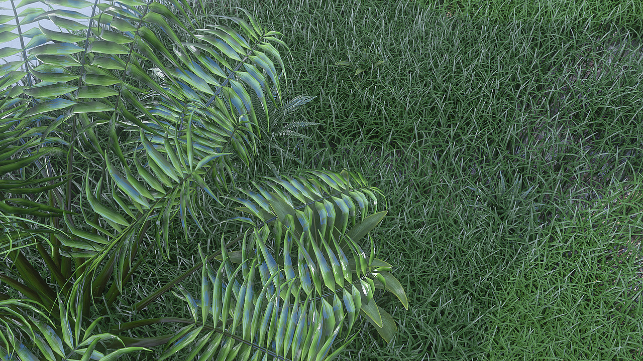 植物灯三维产品动画