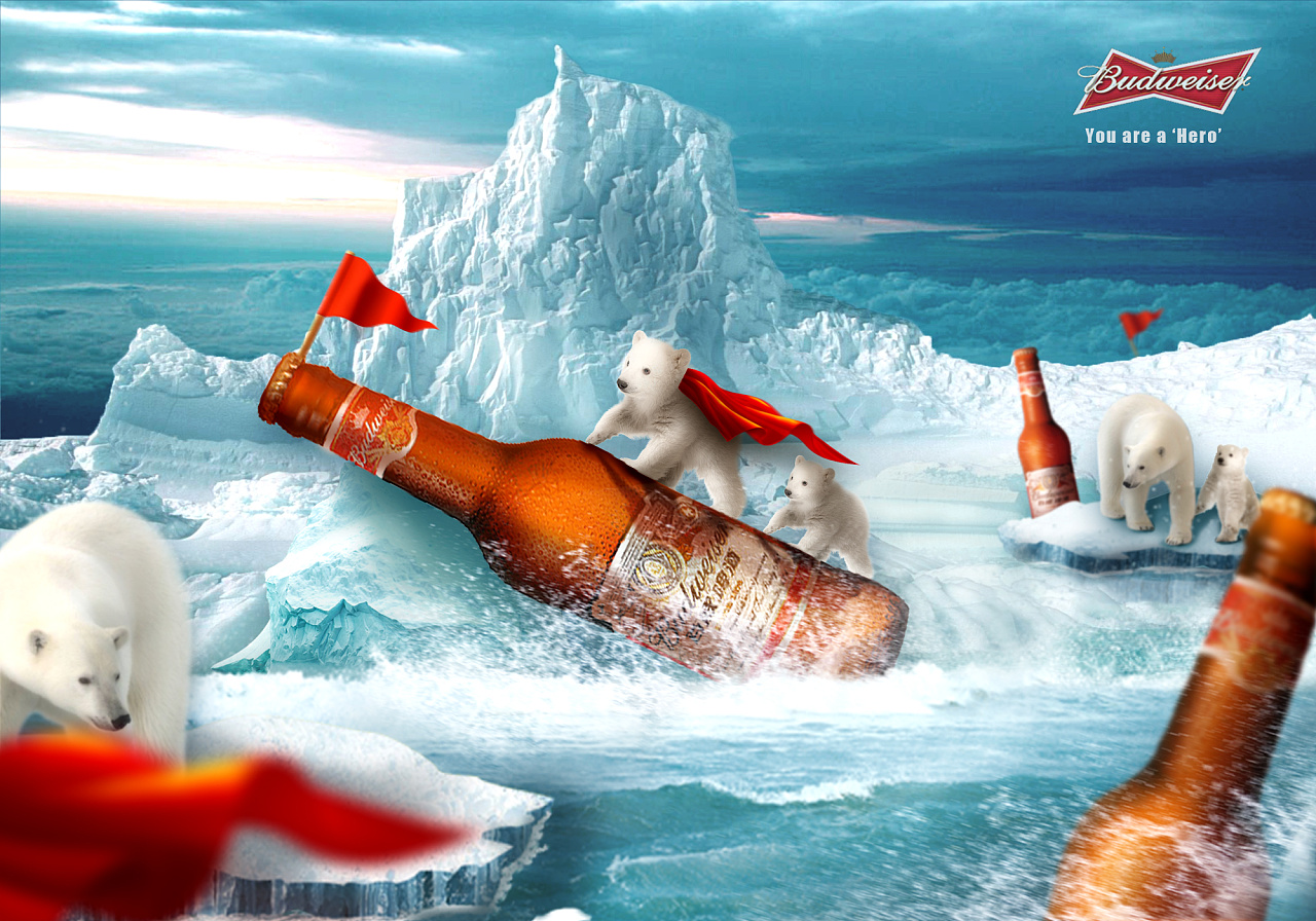 北极熊和百威啤酒的组合感觉挺有意思的最近练习的一张合成海报洛阳