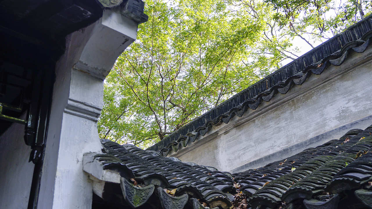 围墙中的自得其乐-拙政园