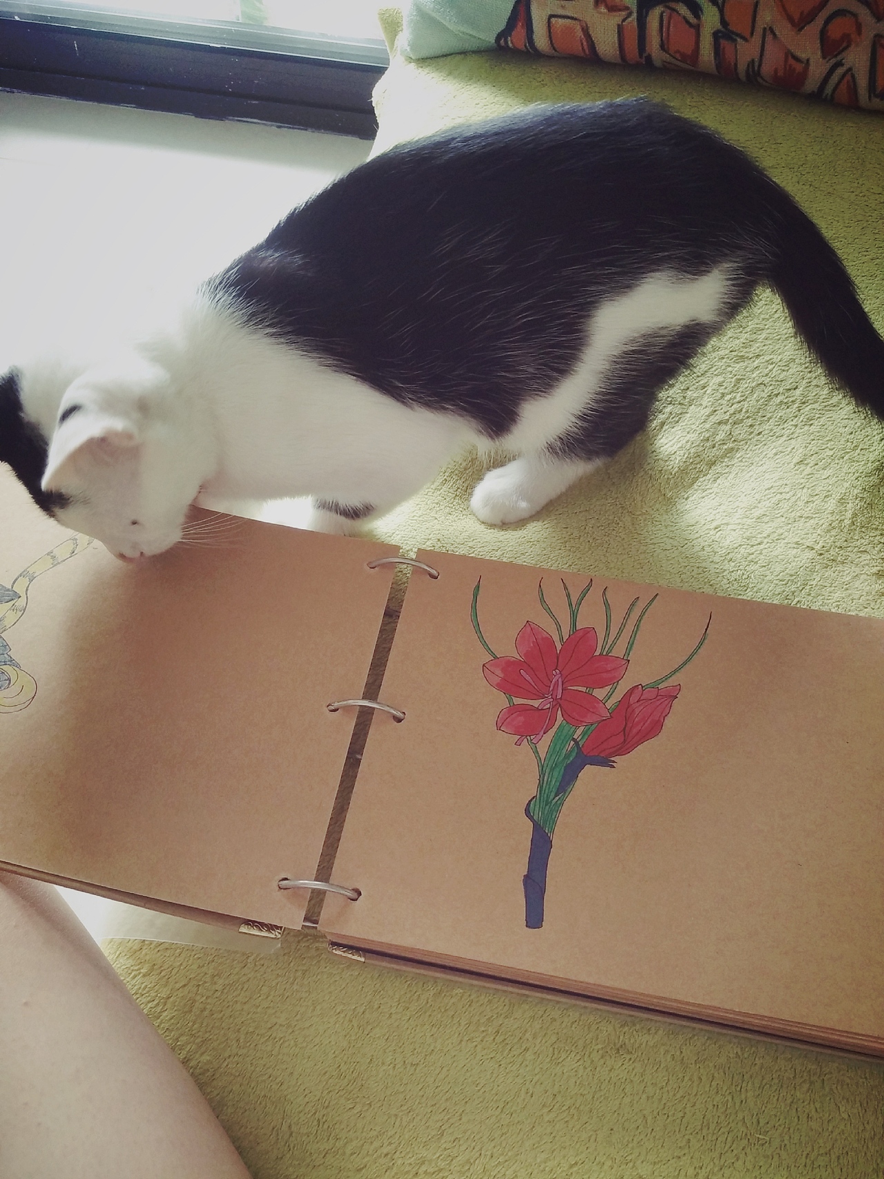 花开无声（图ZOTEzNDk4NDg=） - 艺术插画 - 站酷设计师生生欢颜原创素材 - 站酷ZCOOL