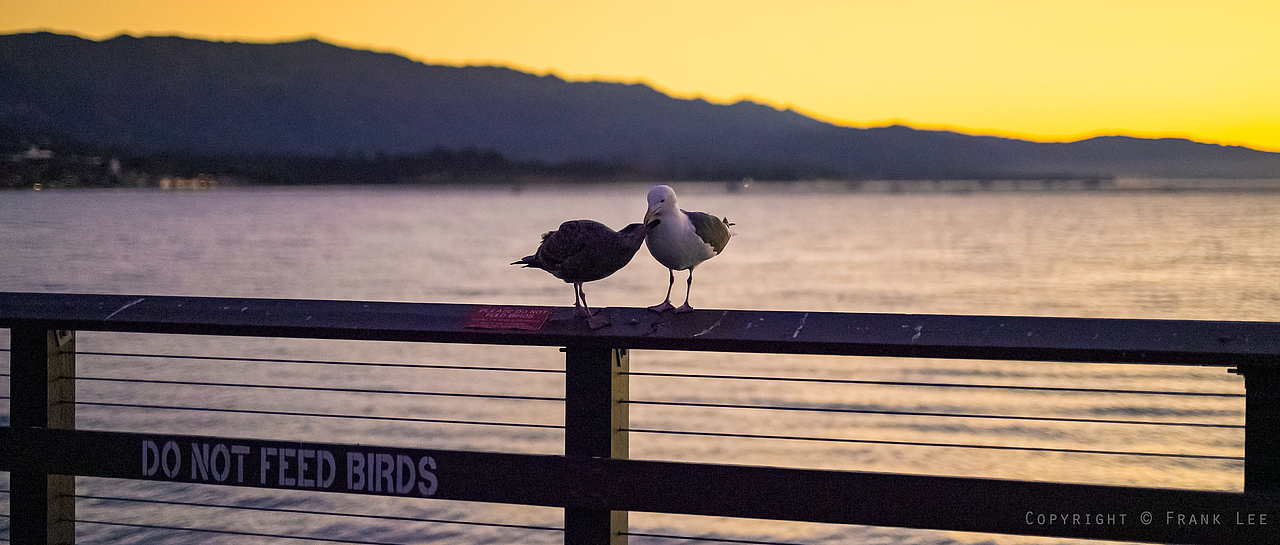街拍游记 - 美西掠影