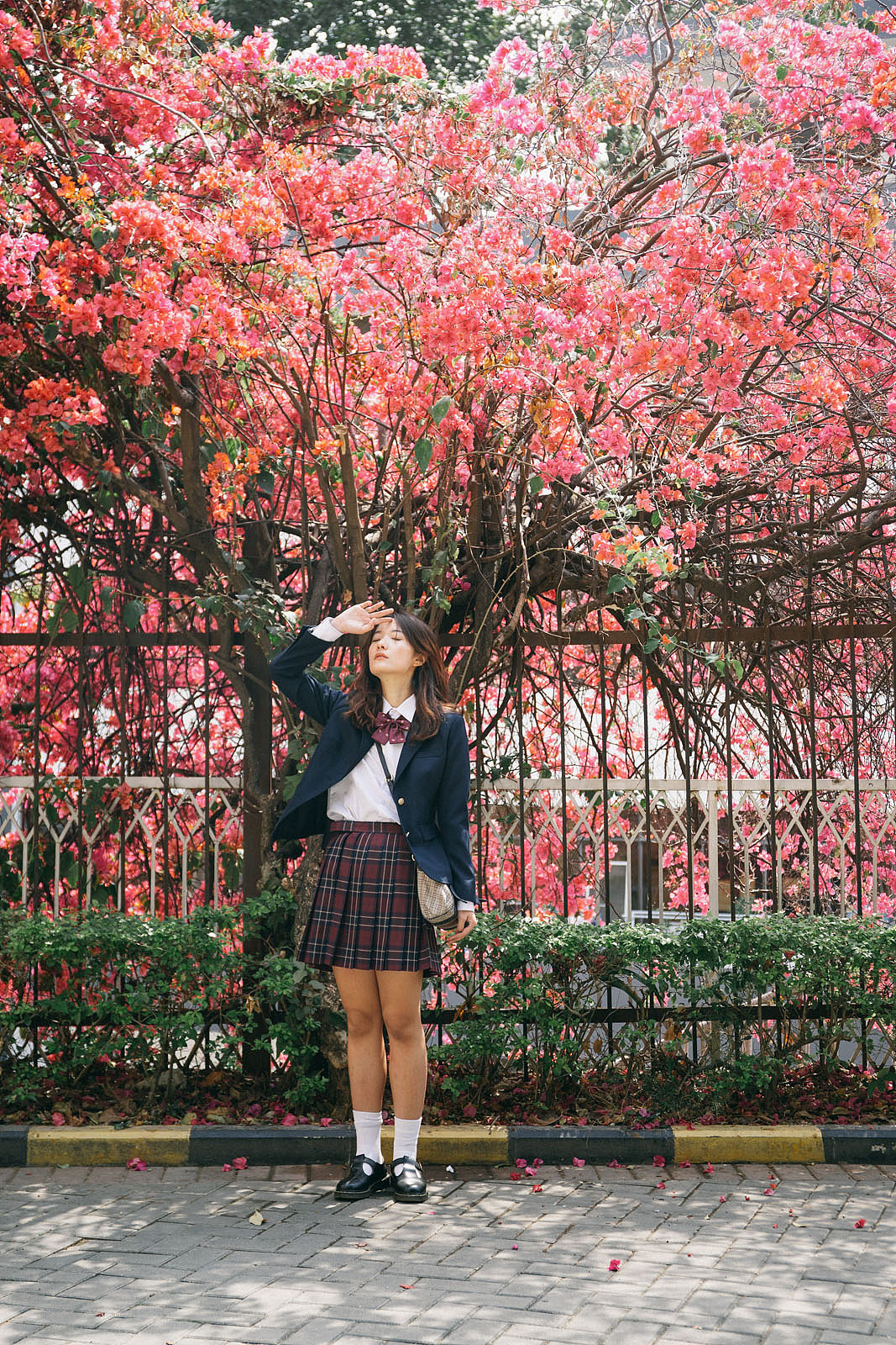 樱花列车（图ZMjQ2MTc2MjY4） - 人像摄影 - 站酷设计师繁星小理原创素材 - 站酷ZCOOL