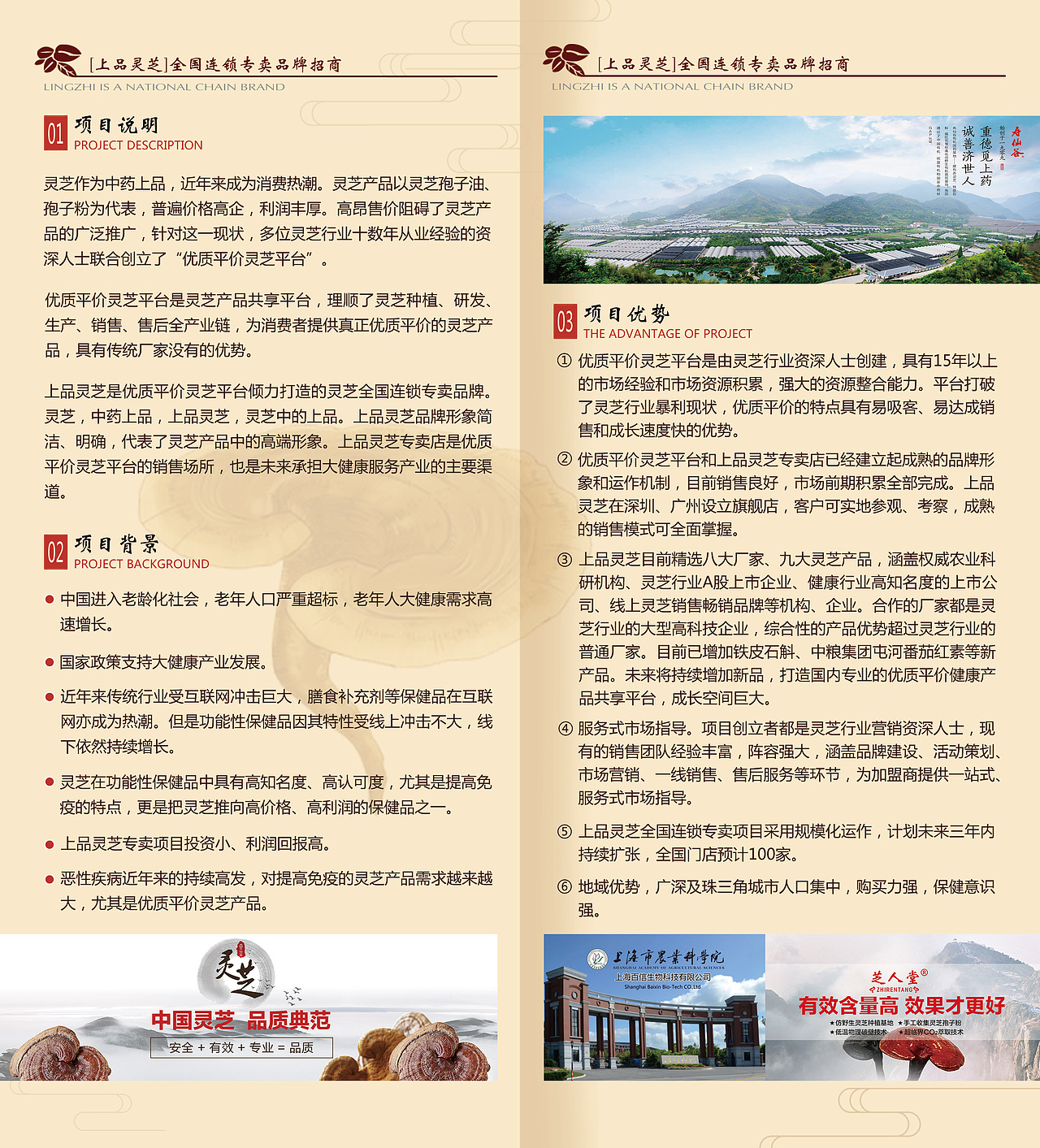 宣传页面制作DM单制作（图ZMTk4Mjc0MzEy） - 宣传物料 - 站酷设计师柠檬_茶原创素材 - 站酷ZCOOL