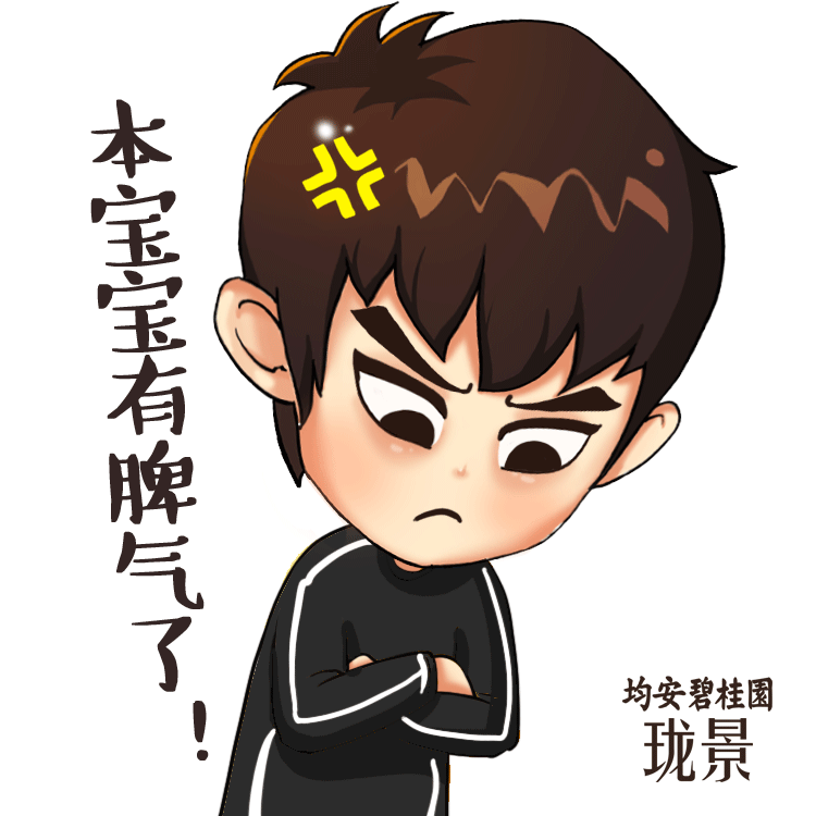 碧桂园 珑景 小珑