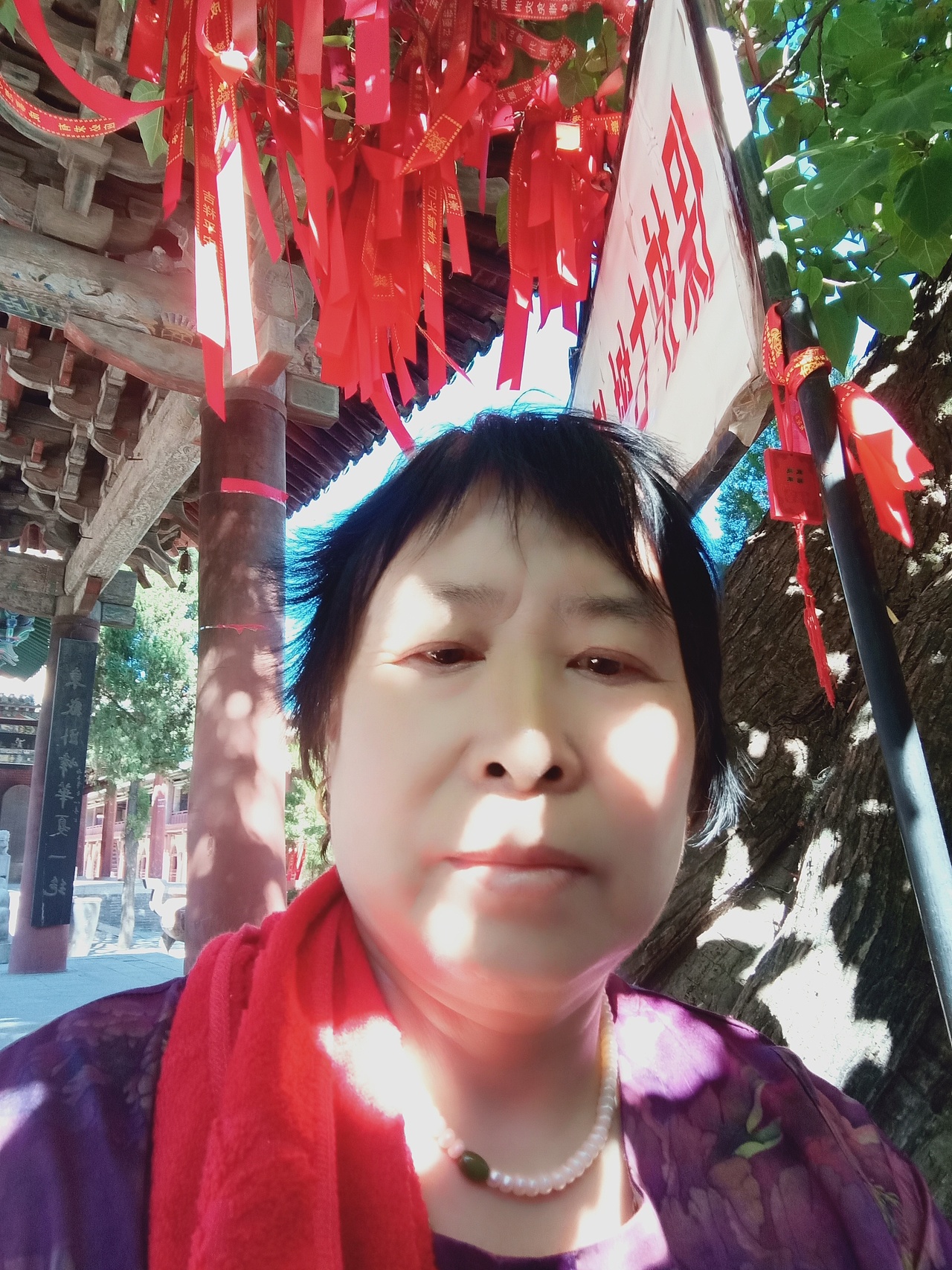 我的国画新作品