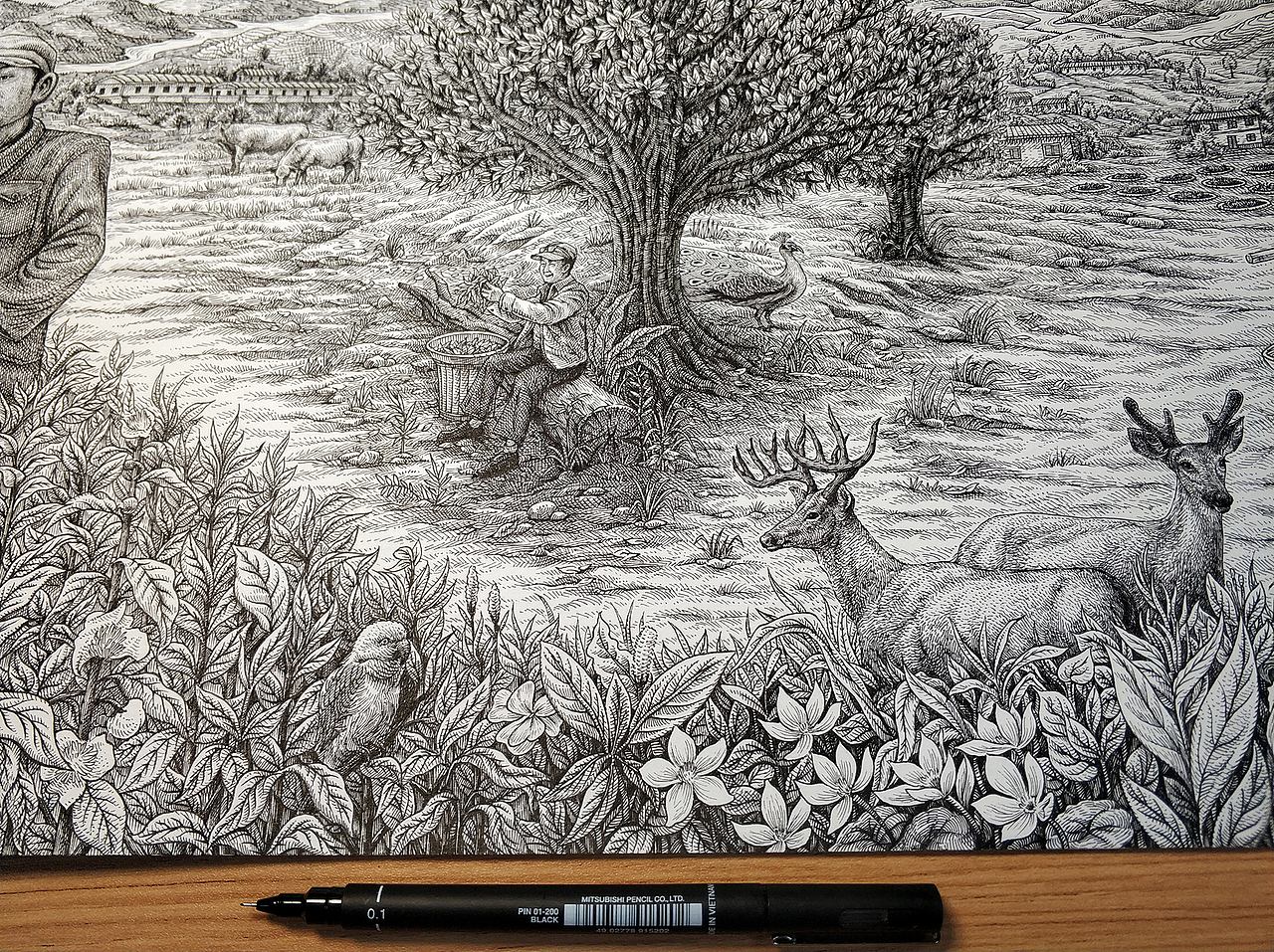 《七彩云南茶》手绘作品（图ZMjY2MzcxMDk2） - 商业插画 - 站酷设计师傅淳强画者之旅原创素材 - 站酷ZCOOL