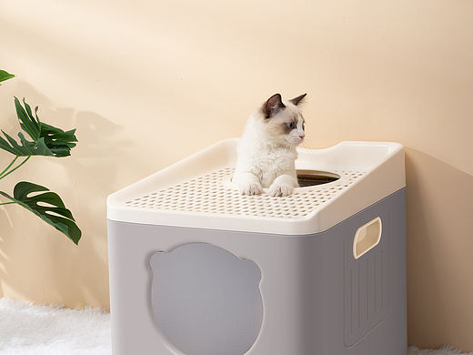 猫砂盆精修