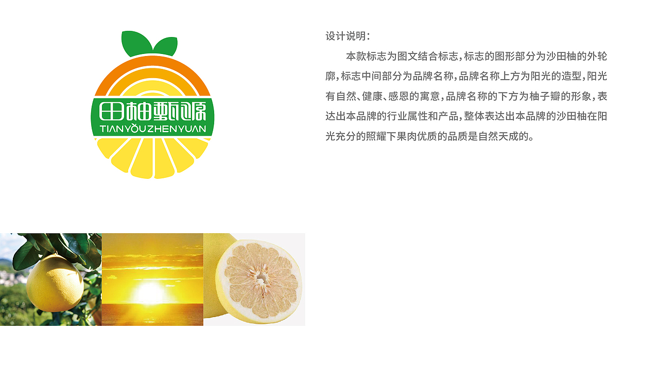 田柚甄源logo设计提案-飞机稿（图ZMTc1MTY1OTg4） - Logo - 站酷设计师黑璞设计原创素材 - 站酷ZCOOL