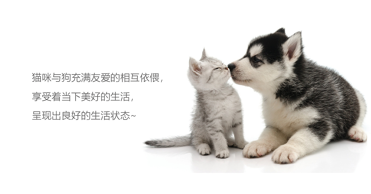 vi设计（图ZMTY5NTY0NTgw） - 品牌 - 站酷设计师Z99210148原创素材 - 站酷ZCOOL