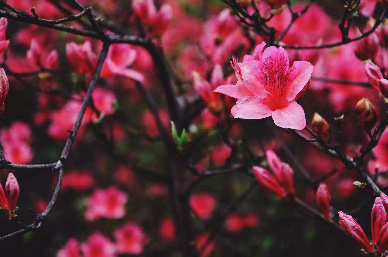 个人p（图ZNDg4OTEwOTY=） - 风光摄影 - 站酷设计师爱你的章鱼哥原创素材 - 站酷ZCOOL