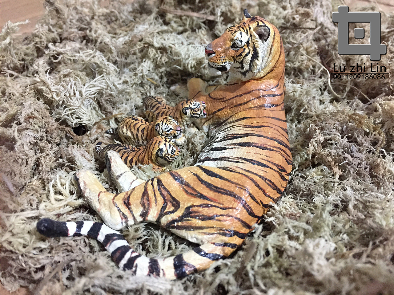 动物模型 -萌虎仨兄弟-涂装展示